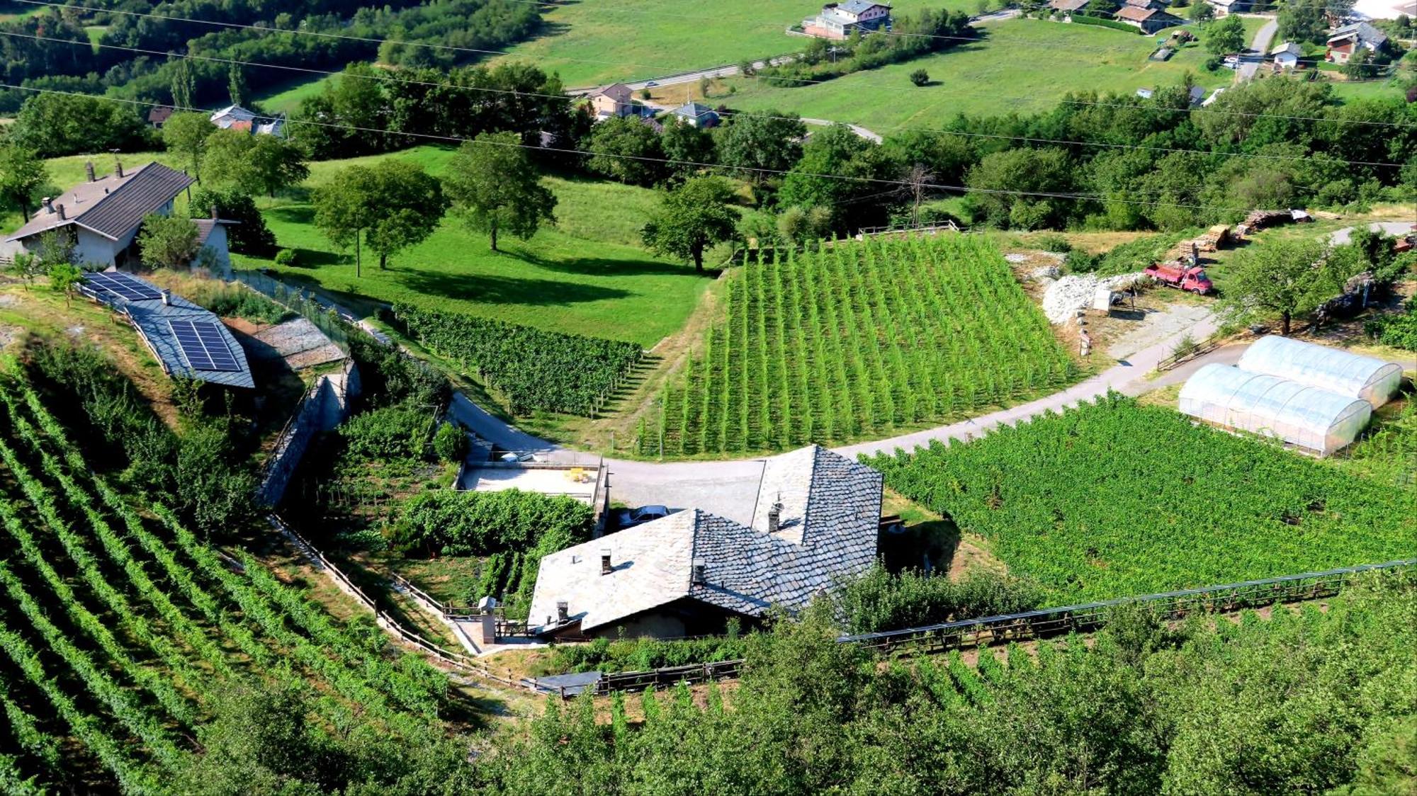 La Vrille - Chambres D'Hotes Verrayes Экстерьер фото