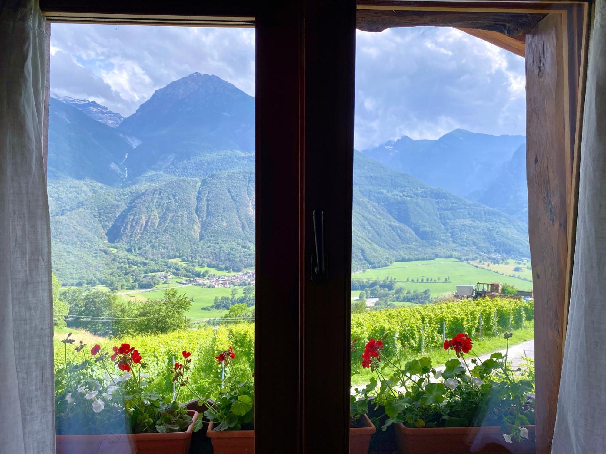 La Vrille - Chambres D'Hotes Verrayes Экстерьер фото